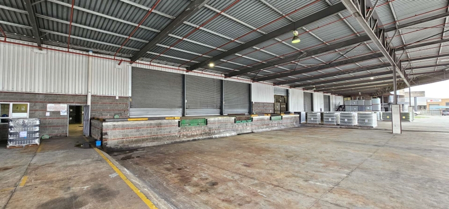 To Let commercial Property for Rent in Parow Industrial Western Cape